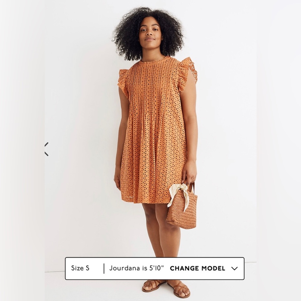 NWT Madewell Eyelet Ruffle-Sleeve Pintuck Mini Dress